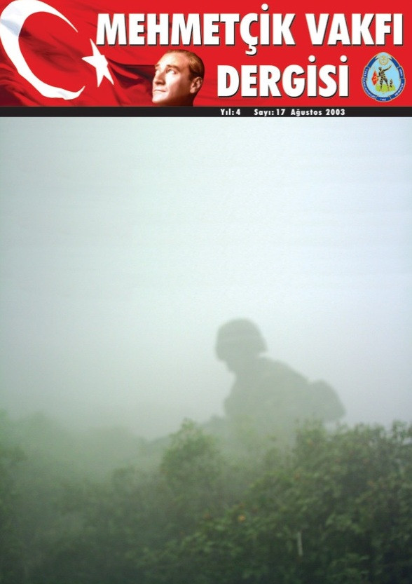 17. Sayı