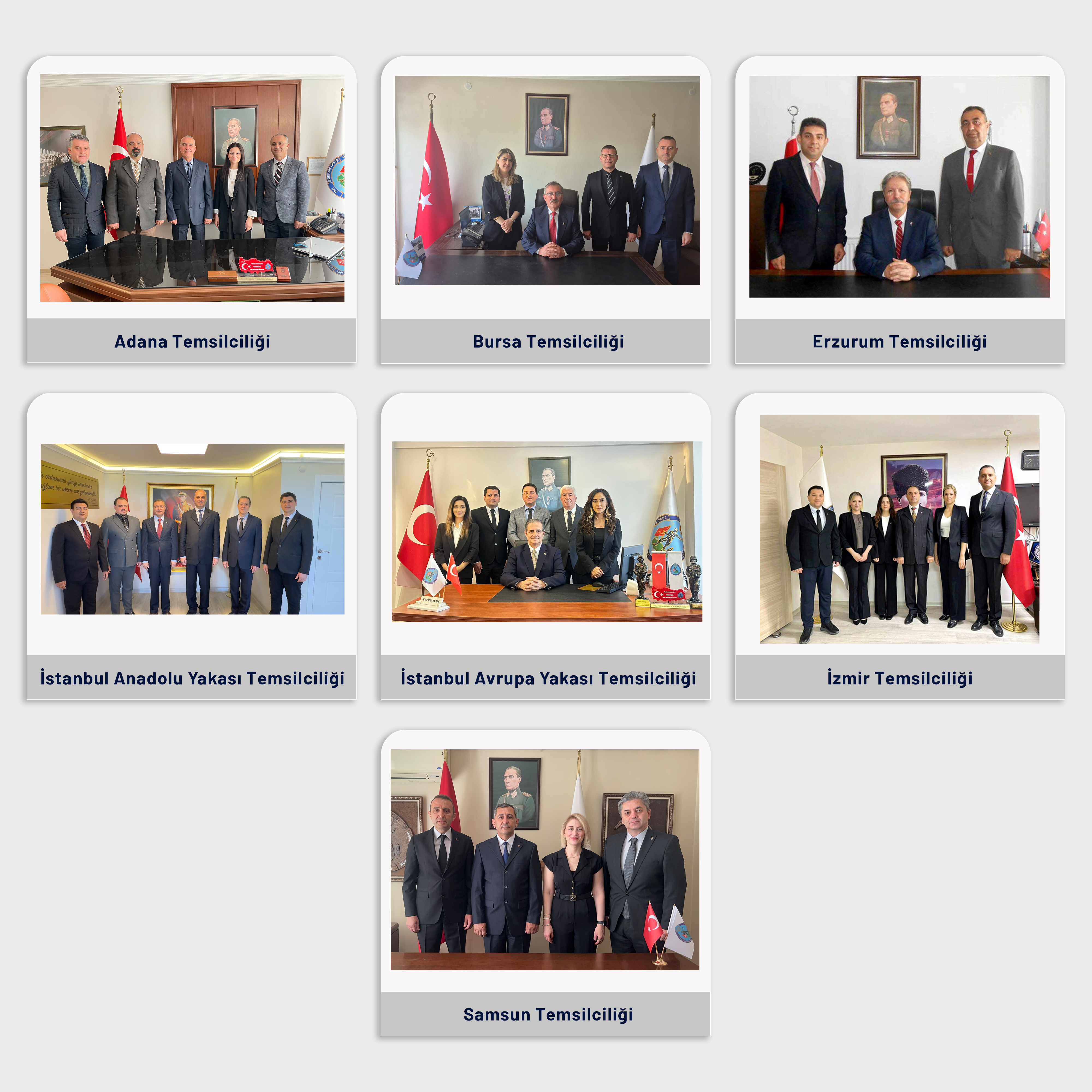 temsilcilik-teskilat-yapisi-haziran-2026-1.jpg