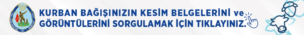 video-sorgu-sorgulamak-icin-2026-1.jpg