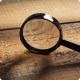 Bireysel Sorgulama ve Denetim Sistemi